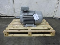 LAMMERS 1TZ95012AA434AB4-Z