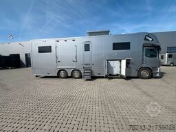 MERCEDES-BENZ ACTROS S  2640 STX  . POP-OUT, Pop-Up, 7 Pferde