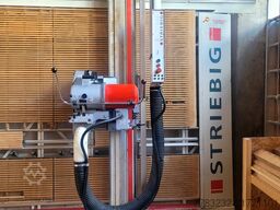 Striebig STANDARTIIITRK Typ 6220A