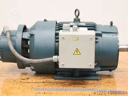 Reliance Electric 213TC  P  P21G1780A