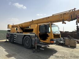 LEIBHERR LTM 1030-2.1