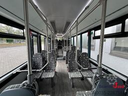 Scania Fencer F1 LE 12,2m, sofort verfügbar - Neufahrzeu