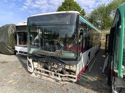 Setra S 416 NF