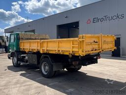 Renault S 170 (10 BOULOTS / POMPE MANUELLE / LAMES / MA...