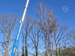 Paus Sky Worker PTK 31