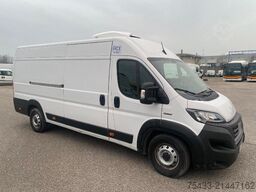 Fiat DUCATO ISOTERMICO + FRIGO