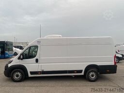 Fiat DUCATO ISOTERMICO + FRIGO