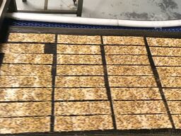 Minipan Production line for “Thins” crisp flatbreads