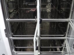 Thermo Fisher Scientific Cytoperm 2