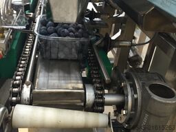 PAKFRUT S.R.L Blueberry Packing Machine 