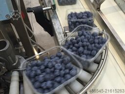 PAKFRUT S.R.L Blueberry Packing Machine 