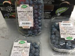 PAKFRUT S.R.L Blueberry Packing Machine 