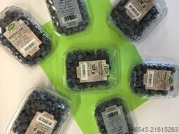 PAKFRUT S.R.L Blueberry Packing Machine 