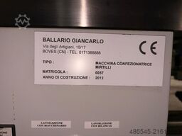 PAKFRUT S.R.L Blueberry Packing Machine 