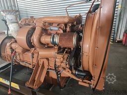 AMAN MAN D25 66 MTE