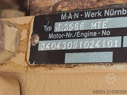 AMAN MAN D25 66 MTE
