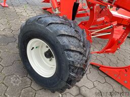 Maschio Unico M Passo 4
