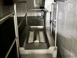 N/N Slaughter line 120pcs/h