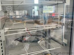 HAUSER MIRENGO RMG