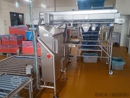Lumacon automatic crate filling line