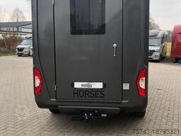 FORD Transit STX Haras  NEW MODELL. AUTOMATIK