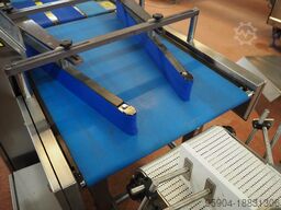 Converging Conveyor High Speed 240 Volt