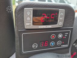 MERCEDES-BENZ 319 StockSprinter VIP Shuttle 9 SS  Panoramadach