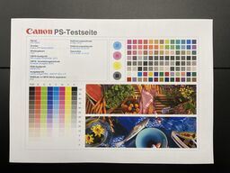 Canon imagePress C10000VP incl. Fiery, Bookletfinisher, Paperdeck