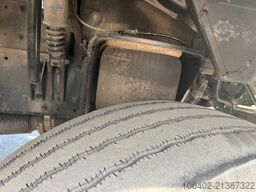 MAN TGM 15.290 4x2 LL Tiefkühler ATP möglich