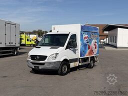 Mercedes-Benz 313 CDI / Swiss-Vehicle