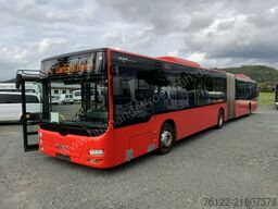 MAN A 23 Lions City