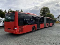 MAN A 23 Lions City