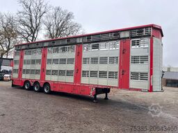 Pezzaioli Livestock 1/2/3 stock Type2 independent levels!