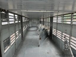 Pezzaioli Livestock 1/2/3 stock Type2 independent levels!