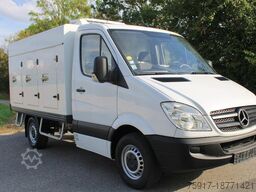 MERCEDES-BENZ Sprinter 310 ColdCar 3+3Türen TK von 0 bis -25°C