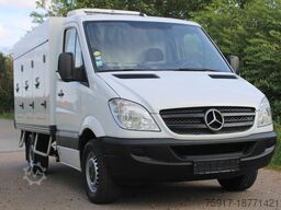 MERCEDES-BENZ Sprinter 310 ColdCar 3+3Türen TK von 0 bis -25°C