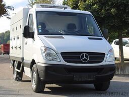 MERCEDES-BENZ Sprinter 310 ColdCar 3+3Türen TK von 0 bis -25°C