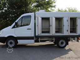 MERCEDES-BENZ Sprinter 310 ColdCar 3+3Türen TK von 0 bis -25°C