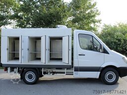 MERCEDES-BENZ Sprinter 310 ColdCar 3+3Türen TK von 0 bis -25°C