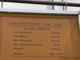 Haemmerle BM 200-3100