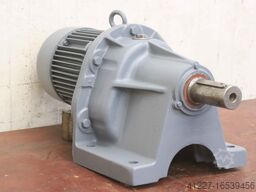 Bauer D 166/1461