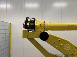 FANUC M-900iA/260L