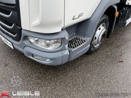 DAF LF210FA*Junge*Dhollandia-LBW*Klima*