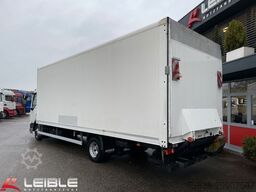 DAF LF210FA*Junge*Dhollandia-LBW*Klima*