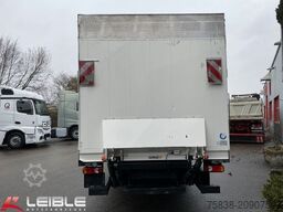 DAF LF210FA*Junge*Dhollandia-LBW*Klima*