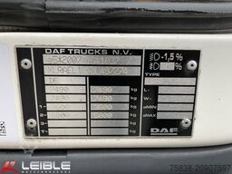 DAF LF210FA*Junge*Dhollandia-LBW*Klima*