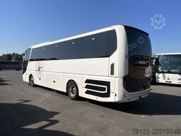 MAN R 07 Lions Coach