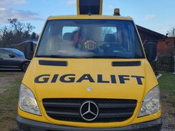 Ruthmann TBR 200 ( 10151 )