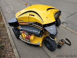 Dvorak Ransomes Spider ILD02