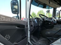 DAF CF 480 Kipphydraulik XL-Tank Standklima Euro 6